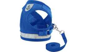 Šviesą Atspindintis Kačių diržas ir Atitinkamas Pavadėlis