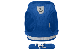 Šviesą Atspindintis Kačių diržas ir Atitinkamas Pavadėlis