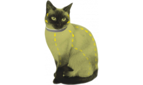 Natūralios Sudėties Antkaklis nuo Blusų ir Erkių Katėms