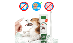 Pilnas kačių burnos priežiūros rinkinys su paprastu šepetėliu, švelniais pirštiniais šepetėliais ir vaniline pasta.