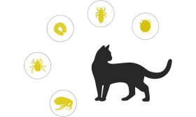 Natūralios Sudėties Antkaklis nuo Blusų ir Erkių Katėms