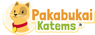 Pakabukaikatems.lt